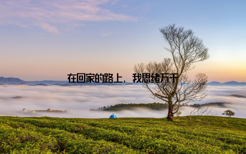 在回家的路上, 我思绪万千