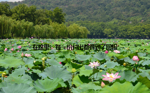 在这里, 每一份付出都得到了回报